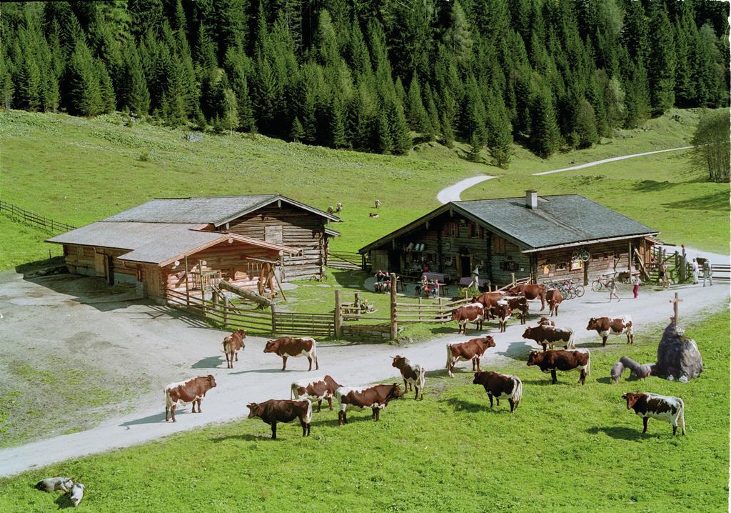 Palfnerhof Appartements Sankt Johann im Pongau Kültér fotó