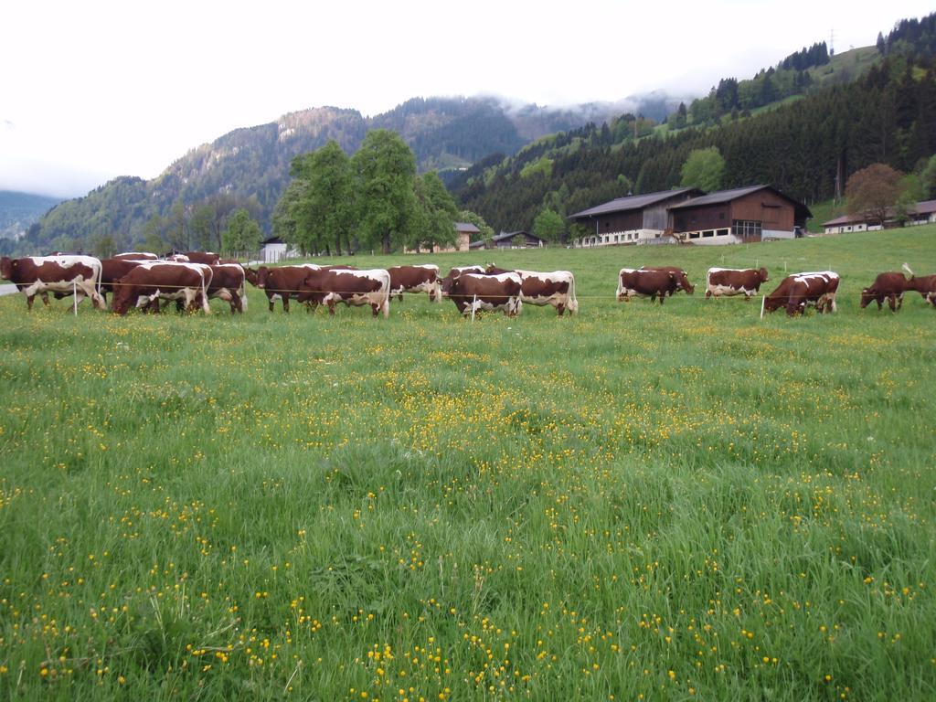 Palfnerhof Appartements Sankt Johann im Pongau Kültér fotó