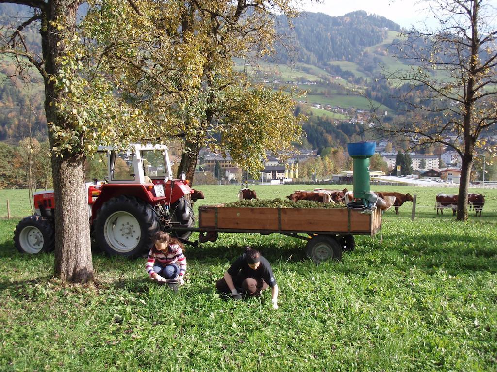 Palfnerhof Appartements Sankt Johann im Pongau Kültér fotó