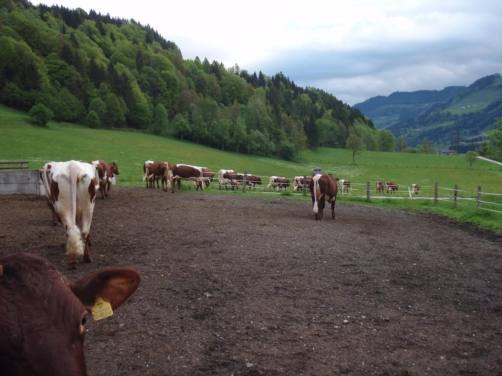 Palfnerhof Appartements Sankt Johann im Pongau Kültér fotó